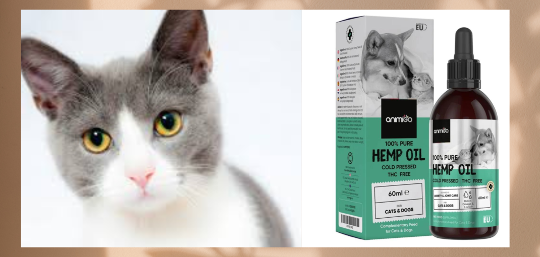 Hemp oil for pets